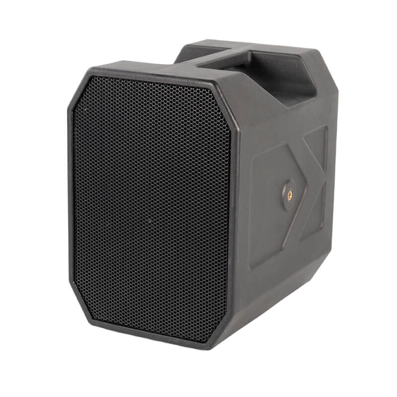 Sonic disperser